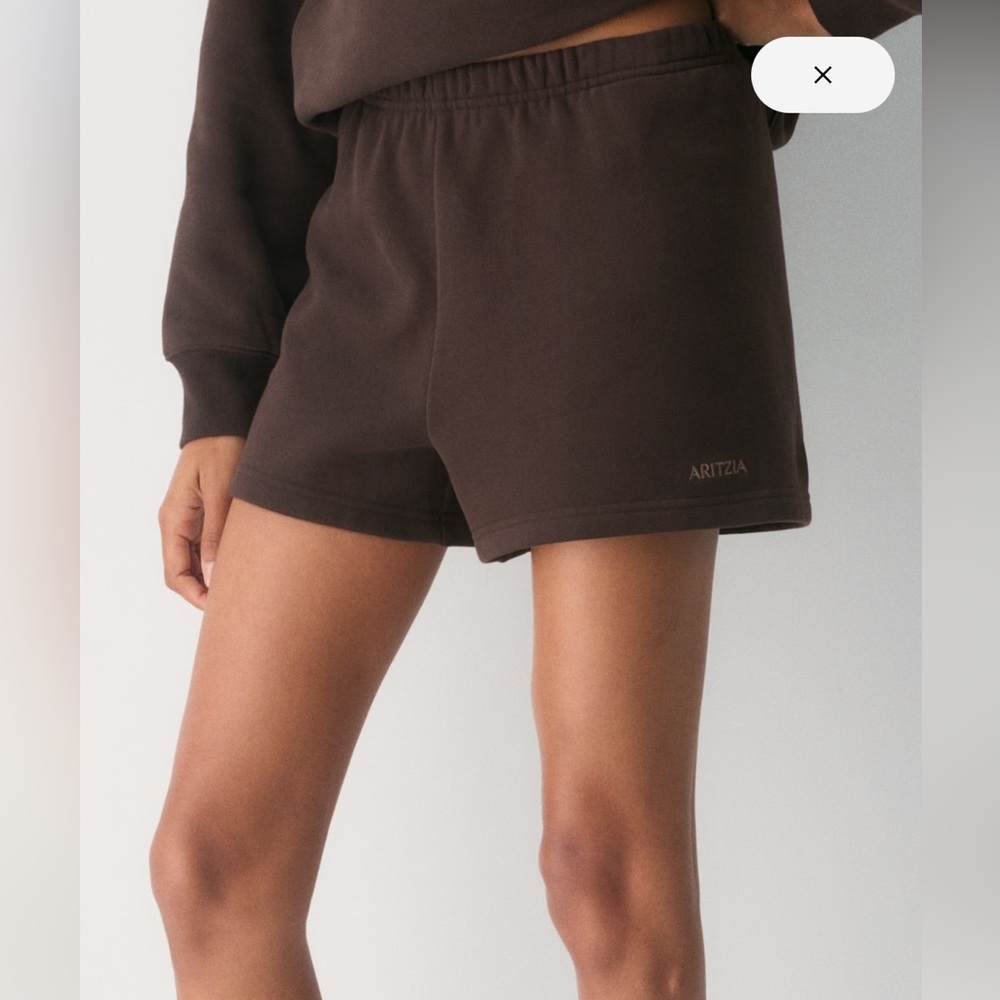 Aritzia Cozy Sweatfleece Perfect Hi-Rise Mini Short